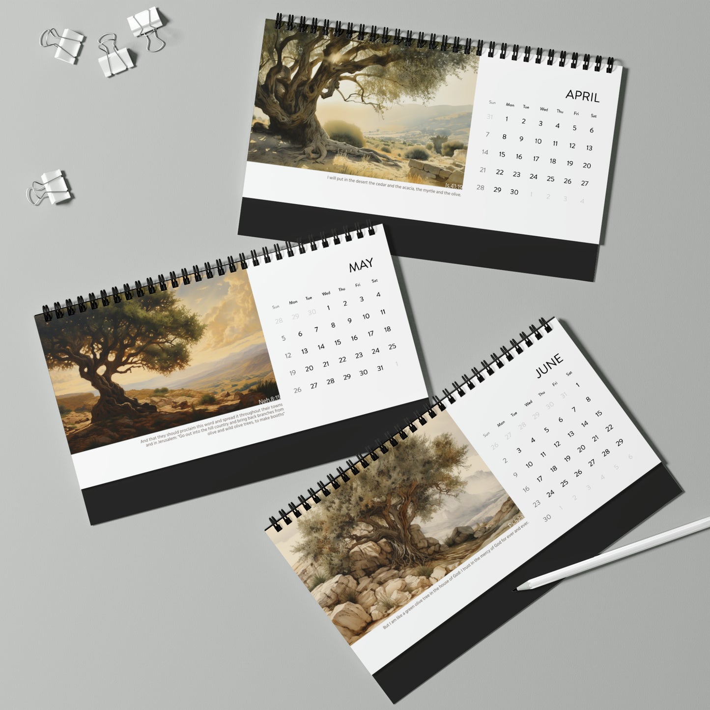 Olive Tree Desktop Calendar 2024